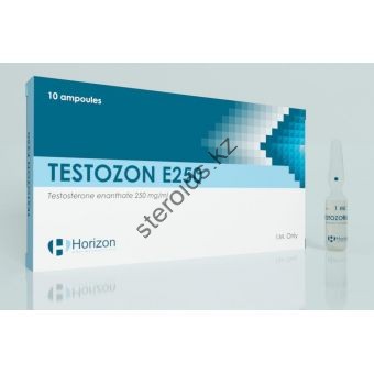 Тестостерон энантат Horizon Testozon E 250 (10 ампул) 250мг/1мл - Семей